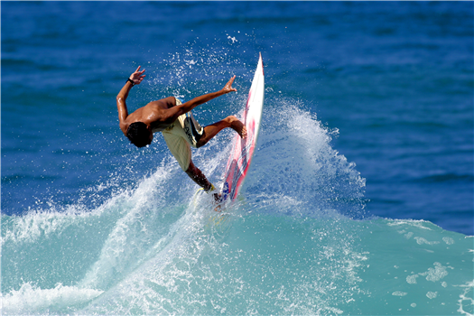The Surf Creeps