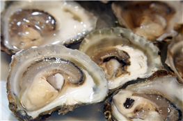 Richmond Oyster Social