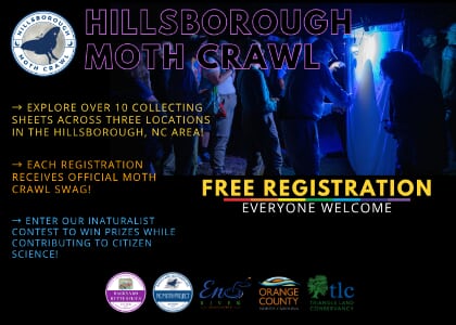 The Hillsborough Moth Crawl