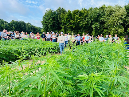 Discover NC Textile Hemp