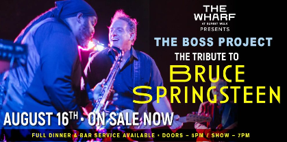 The Tribute to Bruce Springsteen