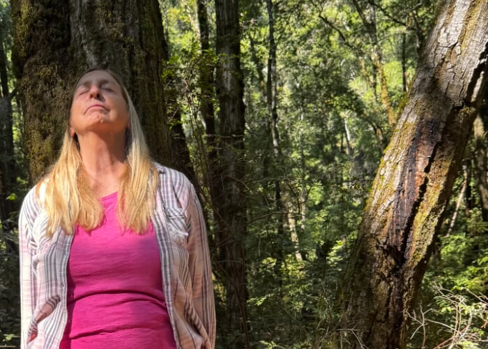 Nature Communication With The Trees