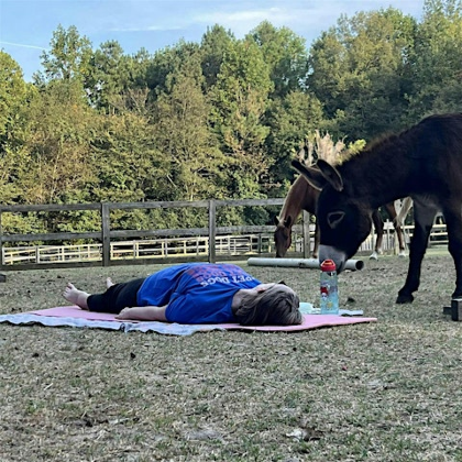 Stretching & Meditation with Horses: Sundays at 5:30 PM