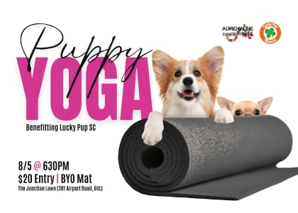 Puppy Yoga @ Adrenaline Dance Fitness