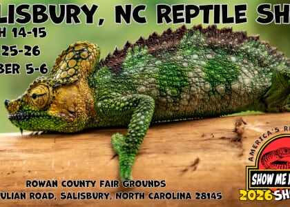 Salisbury Reptile Expo