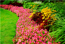 Ready, Set, Conserve: Rain Barrels