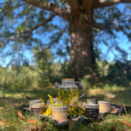 Forest Bathing Retreat: CommuniTEA Amongst the Trees