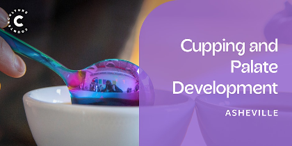 Cupping and Palate Development Workshop