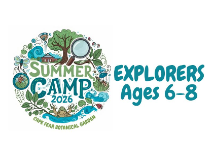 Day Camp: Nature Play Lab