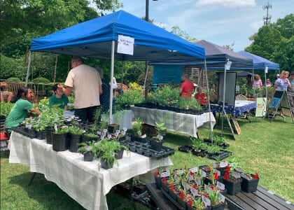 Friends of the Page-Walker Host the 14th Annual Herbfest