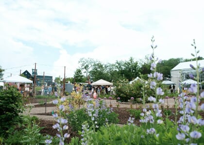 Field & Folk - Seasonal Market Series