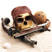 Pirate Palooza