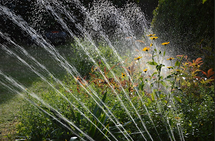Home Irrigation and Landscape Heat Stress Mitigation