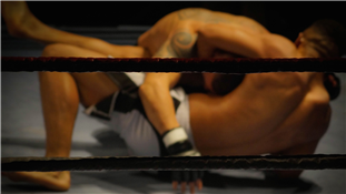 Victory Fighting League
