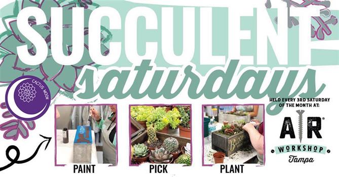 Succulent Planter Box Workshop Tampa Bay Times Events