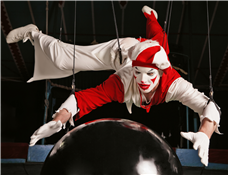 Circus Mutt