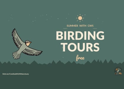 Free Birding Tour with Carolina Wildlife Sanctuary