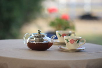 Summer Camp Book & Tea Salon