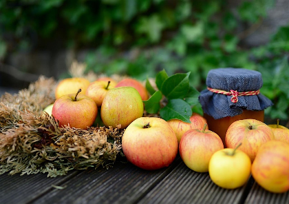 Apple Canning Class