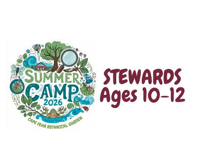 Day Camp: Lost in the Garden
