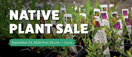 Native Plant Sale