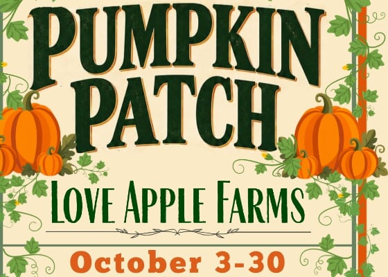 Pumpkin Patch & Winter Veggies at Love Apple Farms, Oct 7