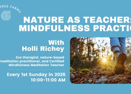 Nature as Teacher: A Mindfulness Practice