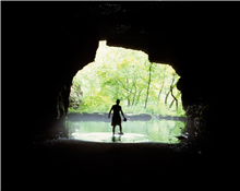 Frick's Cave Twilight Bat Walk
