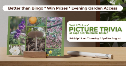 Picture Trivia at the Garden