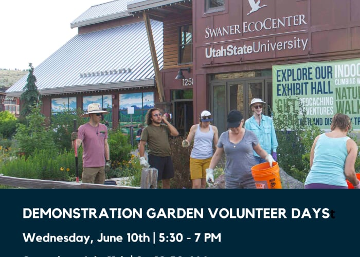 Demonstration Garden Volunteer