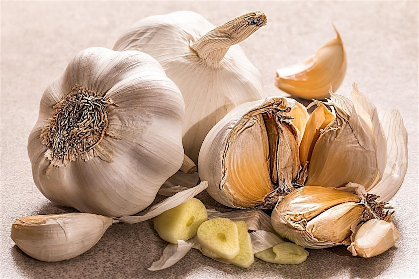 Grow with Us- Great Homegrown Garlic