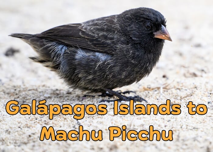 Presentation: From The Galápagos Islands to Machu Picchu- Ecuador and Peru