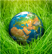 Environmental Sustainability Committee