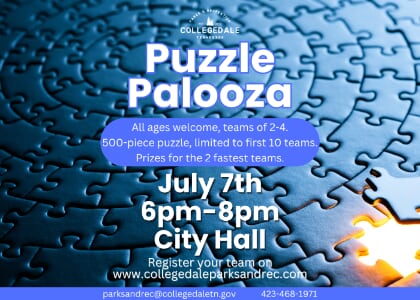 Puzzle Palooza - All Ages