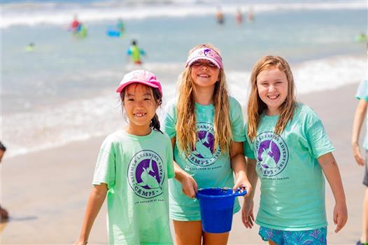 Birch Aquarium Camp Registration Open San Diego Union Tribune Events