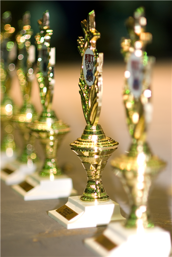 Beautification Awards Program