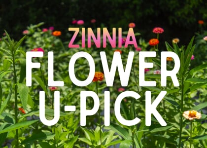 Flower U-Pick