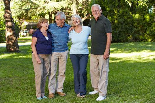 Older Adult Lunch Bunch - Professional Women's Lesbian Group