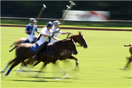 Queen City Polo Cup