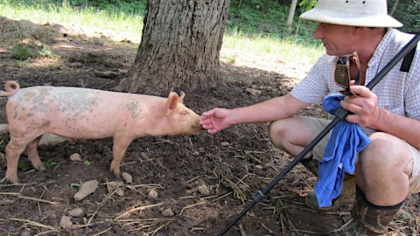 Pastured Pork Workshop: Rooted In Success