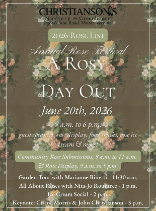 Rose Festival