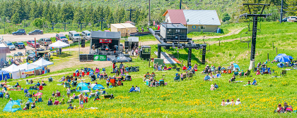 Pebble Wildflower and Music Festival