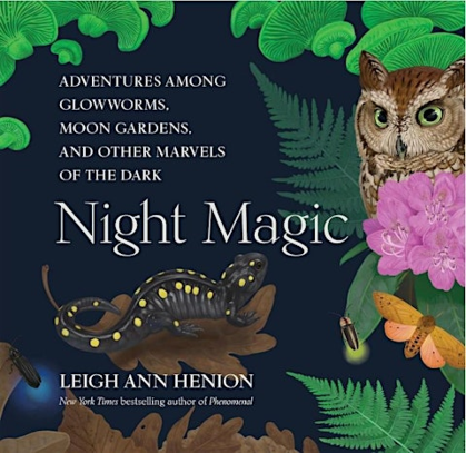 Author Spotlight: Leigh Ann Henion