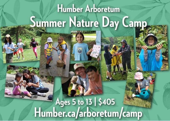Humber Arboretum Nature Day Camp - Fantastic Freshwater
