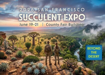 SFSCS 2026 Succulent Expo