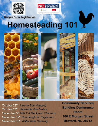 Intro to Bee Keeping