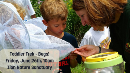 Toddler Trek - Bugs!