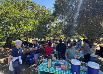 Verano en el Parque - Latino Community Day