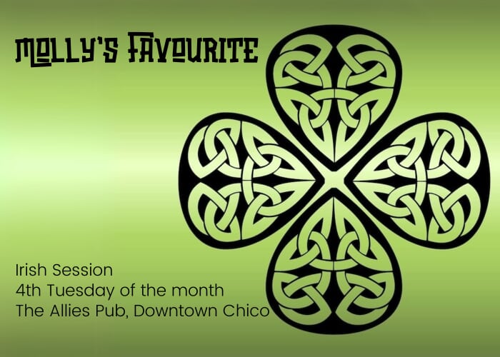 Molly's Favourite | Irish Folk Band