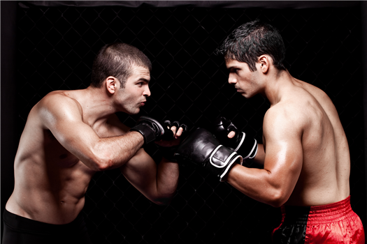 UFC 329  @ BOTH LOCATIONS